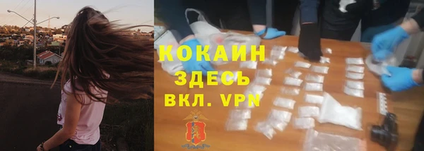 прущие грибы Алексин