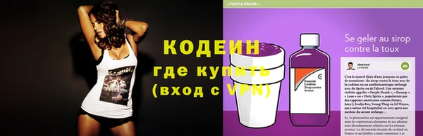 винт Алзамай
