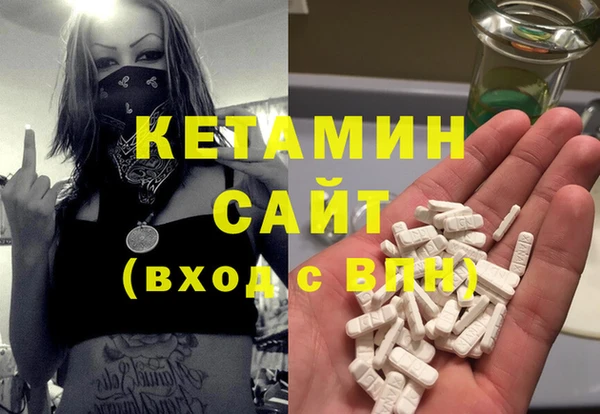индика Няндома